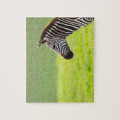 Zebra Puzzle (Vertikal)