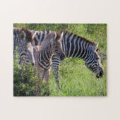 Zebra Puzzle (Horizontal)