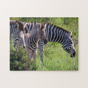 Zebra Puzzle