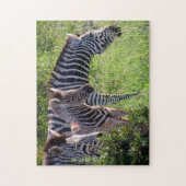 Zebra Puzzle (Vertikal)