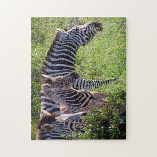 Zebra Puzzle (Vertikal)