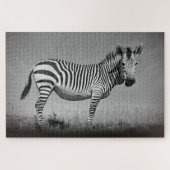 Zebra Puzzle (Horizontal)
