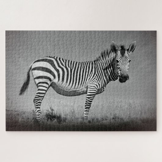 Zebra Puzzle (Horizontal)