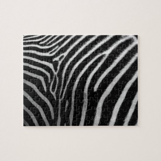 Zebra Puzzle Challenge (Horizontal)