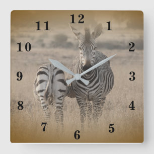 Zebra Quadratische Wanduhr