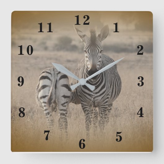 Zebra Quadratische Wanduhr (Vorderseite)