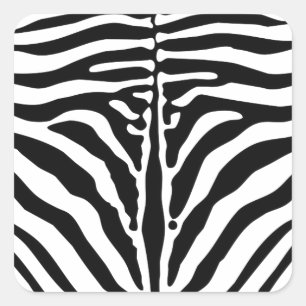 Zebra Quadratischer Aufkleber