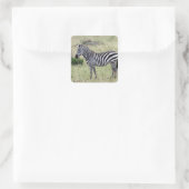 Zebra Quadratischer Aufkleber (Tasche)