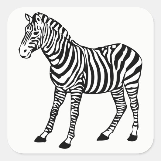 Zebra Quadratischer Aufkleber (Vorderseite)