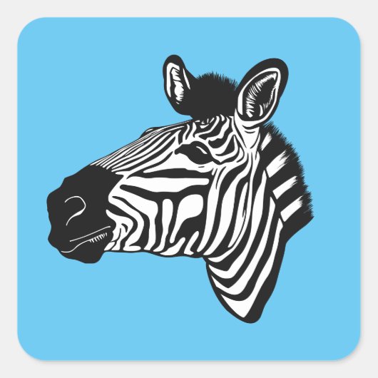 Zebra Quadratischer Aufkleber (Vorderseite)