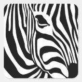 Zebra Quadratischer Aufkleber (Vorderseite)