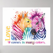 Zebra Rainbow Poster (Vorne)