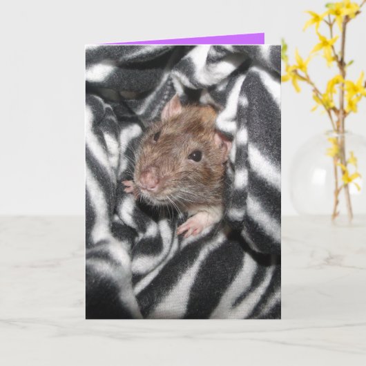 Zebra rat Geburtstagskarte Karte (Gelbe Blume)