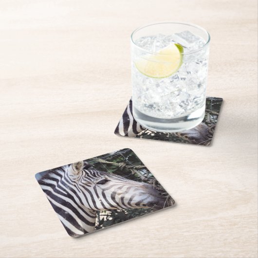 Zebra Rechteckiger Pappuntersetzer (Vor Ort)