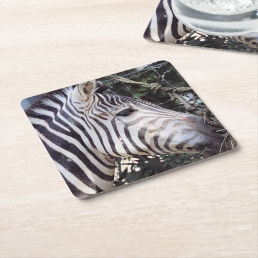 Zebra Rechteckiger Pappuntersetzer (angewinkelt)