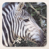 Zebra Rechteckiger Pappuntersetzer (Vorderseite)