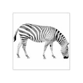 Zebra Rubber Briefmarke Gummistempel (Prägung)