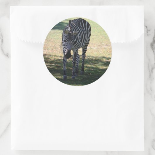 Zebra Runder Aufkleber (Tasche)