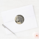 Zebra Runder Aufkleber (Umschlag)