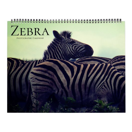 Zebra Safari 2025 groß Kalender (Titelbild)
