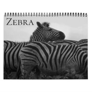 Zebra-Safari 2026 Kalender