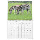 Zebra-Safari 2026 Kalender (Feb 2027)