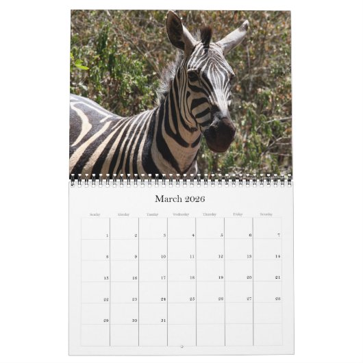 Zebra-Safari 2026 Kalender (Mär 2026)