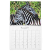 Zebra-Safari 2026 Kalender (Jan 2026)