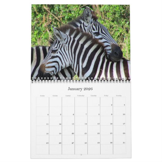 Zebra-Safari 2026 Kalender (Jan 2026)