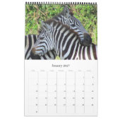 Zebra-Safari Kalender (Jan 2027)