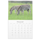 Zebra-Safari Kalender (Feb 2027)