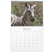 Zebra-Safari Kalender (Mär 2027)