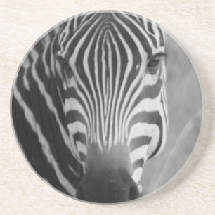 Zebra-Safari-niedliche afrikanische noble Streifen Getränkeuntersetzer