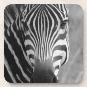 Zebra-Safari-niedliche afrikanische noble Streifen Untersetzer