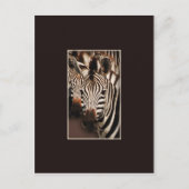 Zebra-Safari-Postkarten Postkarte (Vorderseite)