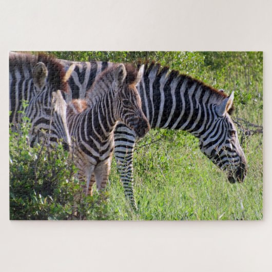 Zebra-Safari Puzzle (Horizontal)