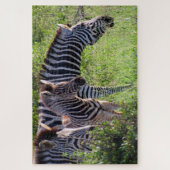 Zebra-Safari Puzzle (Vertikal)