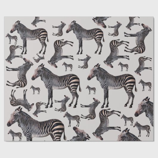 Zebra Safari Vintag Illustration Geschenkpapier (Flach)