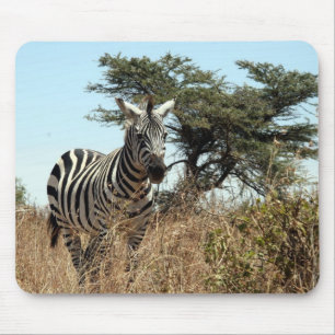 zebra scene mousepad