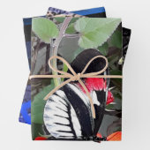 Zebra-Schmetterling Geschenkpapier Set (Beispiel)