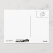 Zebra-Schmetterling Postkarte (Rückseite)
