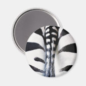 Zebra Schwanz Black & White Magnet (Vorderseite/Rückseite)