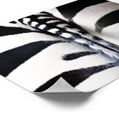 Zebra Schwanz Closeup Poster (Ecke)