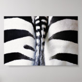 Zebra Schwanz Closeup Poster (Vorne)