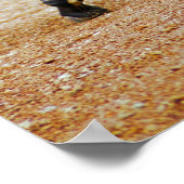 Zebra Schwanz Poster (Ecke)