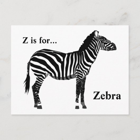 Zebra - Schwarz und Weiß Postkarte (Vorderseite)