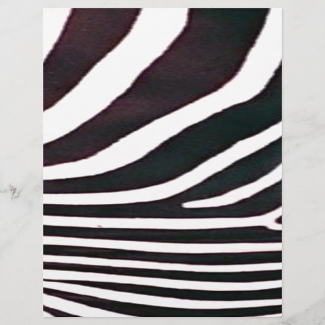 Zebra Schwarz und Weiß Streifen Print (Vorderseite)