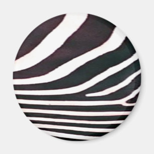 Zebra Schwarz und Weiß Streifen Print Magnet