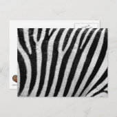 Zebra Schwarz und Weiß Strickhaut Textur Templat Postkarte (Vorne/Hinten)