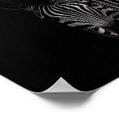 Zebra, Schwarz-Weiß-Foto Poster (Ecke)